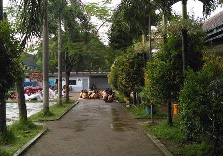 mtsalhidayahwajakmalang.com (20)